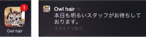 Owl Hair